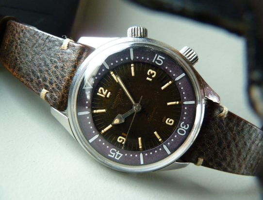 DIVER 7042 GILT TROPICALE